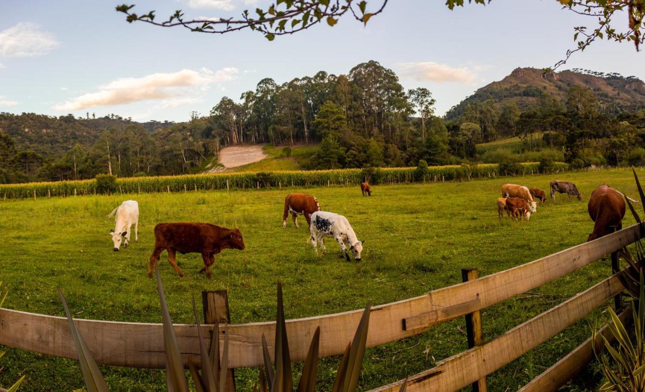 Hospedagem Rural Recanto Do Riacho Urubici Extérieur photo